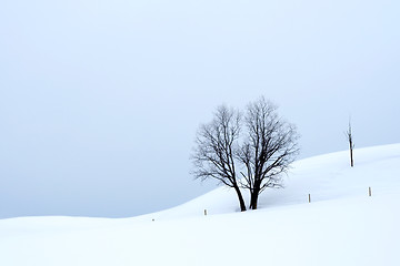 Image showing Overcast winter landscape