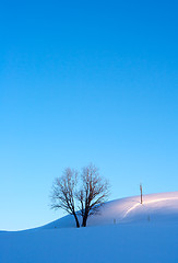 Image showing Crisp morning winter landscape