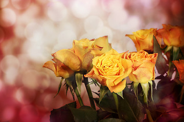 Image showing roses on light background