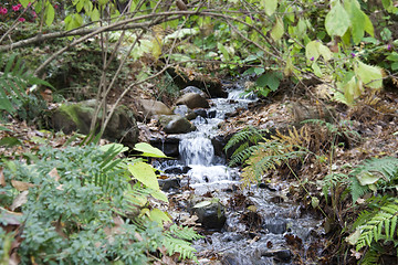 Image showing Small Stream