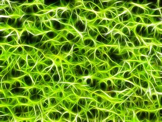 Image showing Neon Natural Green Grunge Background