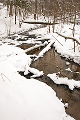 Image showing Flowing forest stream water in winter. Coast snow
