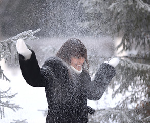 Image showing snowfall