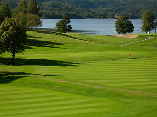 Image showing Golf