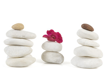 Image showing zen stones with red flower