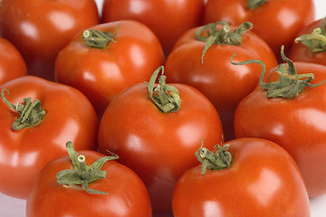 Image showing Fresh tomatoes