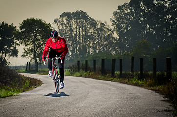 Image showing Cyclist