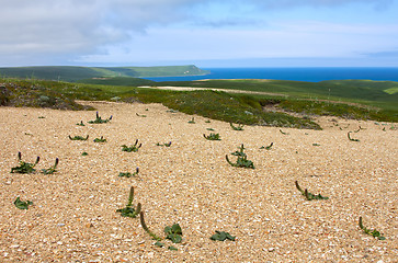 Image showing Golets 4. View from mountains to Bering sea