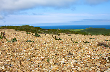 Image showing Golets 2. View from mountains to Bering sea