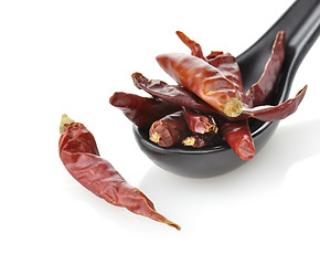 Image showing Ped Hot Pepper 