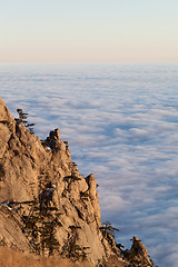 Image showing Sunlit cliffs and sea in clouds