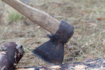 Image showing Axe in log