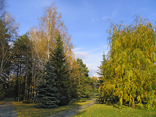 Image showing Autumn