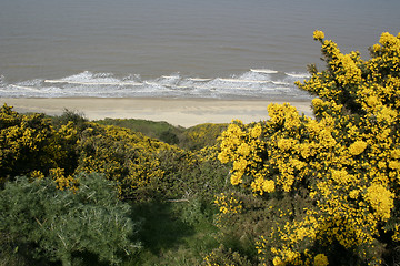 Image showing coastal scene