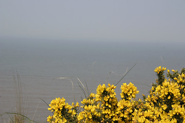Image showing coastal scene