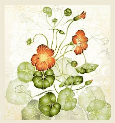 Image showing Greeting card with nasturtium. Illustration nasturtium.