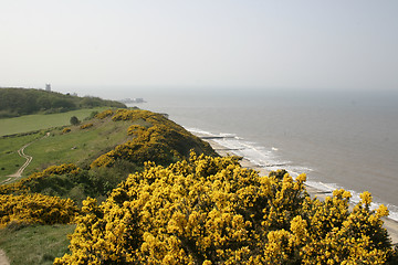 Image showing coastal scene