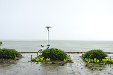 Image showing Park near lake after rain bicycle bush walks