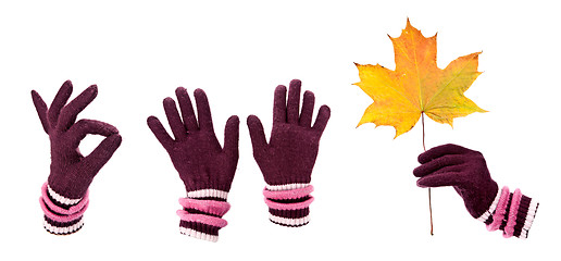 Image showing A collage of warm gloves with autumn maple leaf