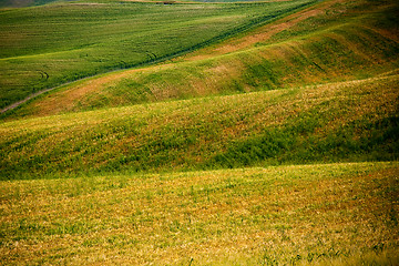 Image showing Typical Tuscan landscape