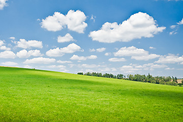 Image showing agriculture landscape