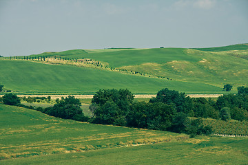 Image showing Typical Tuscan landscape