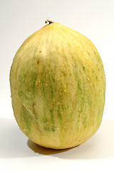 Image showing crenshaw melon