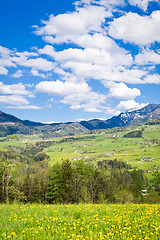 Image showing alpine landscape