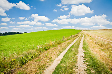 Image showing agriculture landscape