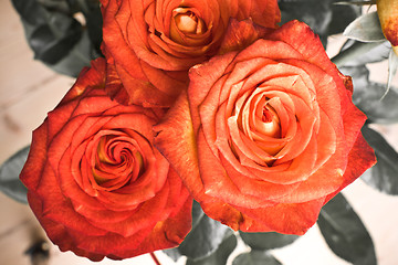 Image showing rose bouquet