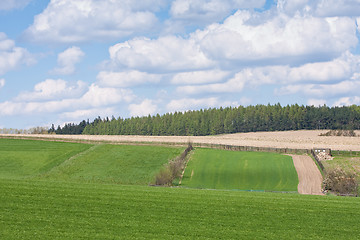 Image showing green field