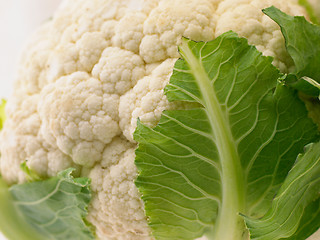 Image showing cauliflower