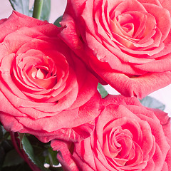 Image showing rose bouquet