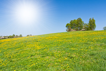 Image showing grassland in the springtime