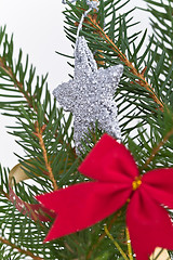 Image showing Christmas tree decorated