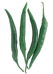 Image showing chili pepper