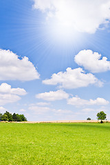 Image showing agriculture landscape