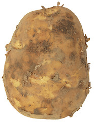 Image showing potato 