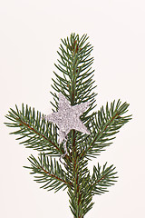 Image showing Christmas tree with star