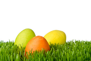 Image showing easter eggs in grass