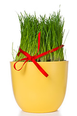 Image showing easter grass