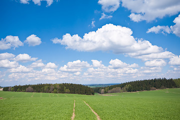 Image showing green field