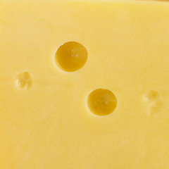 Image showing cheese