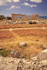 Image showing Greek temple in Selinunte