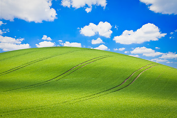 Image showing green field