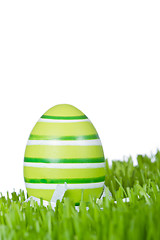 Image showing easter egg in grass