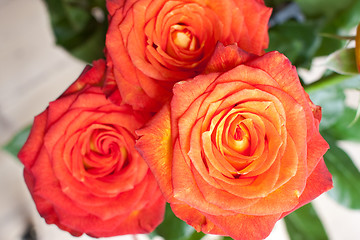 Image showing rose bouquet