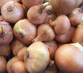 Image showing full frame onions background