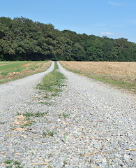 Image showing field path