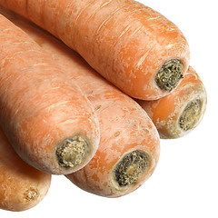 Image showing carrots in white back